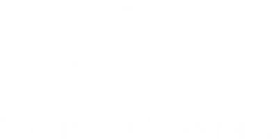Alma Consultores